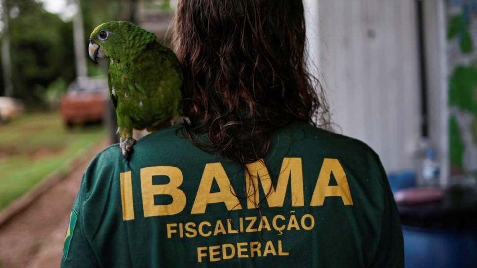 Exclusivo: Lula retoma operações para combater desmatamento na Amazônia