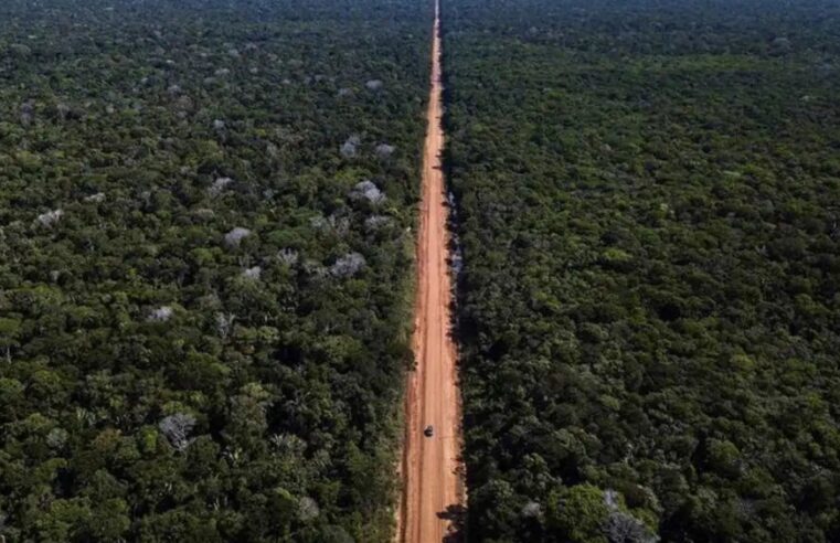 Câmara aprova PL que permite uso de recursos do Fundo Amazônia para asfaltar rodovia
