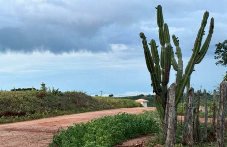 Ceará tem maior probabilidade de chuvas em torno da média no trimestre de maio a junho